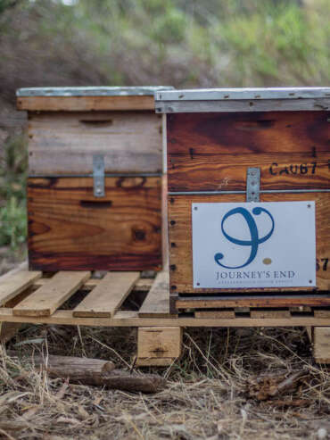 Journeys-End-bee-hives-8